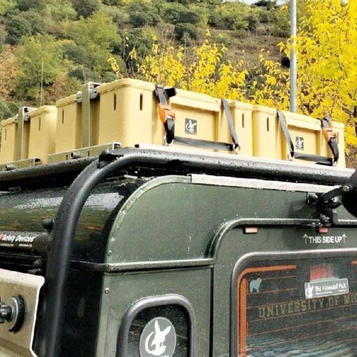 Cajas