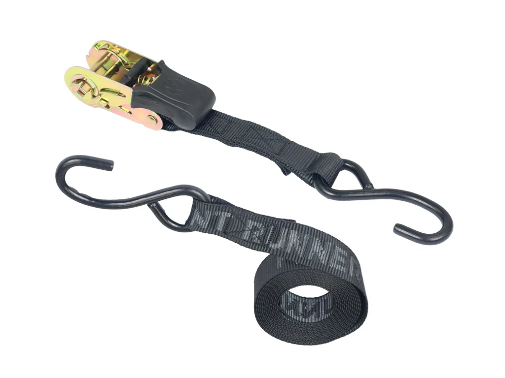 Cinghia a cricchetto 25 x 2.5 m con ganci - Immagine 3