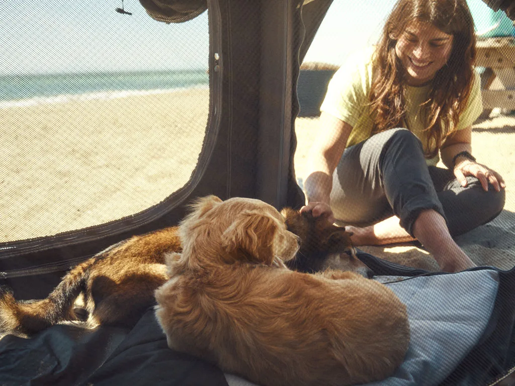 Caja inflable para perro Dometic K9 80 AIR - Imagen 4