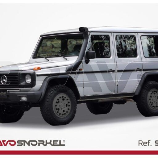 Snorkel Bravo