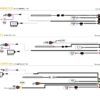 Ensemble de calandre LBA2024 Linear-18 Elite pour Toyota Tacoma TRD (10+)