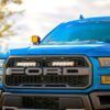 Kit Parrilla Ford F-150 Raptor (2017-2020) Carbon2