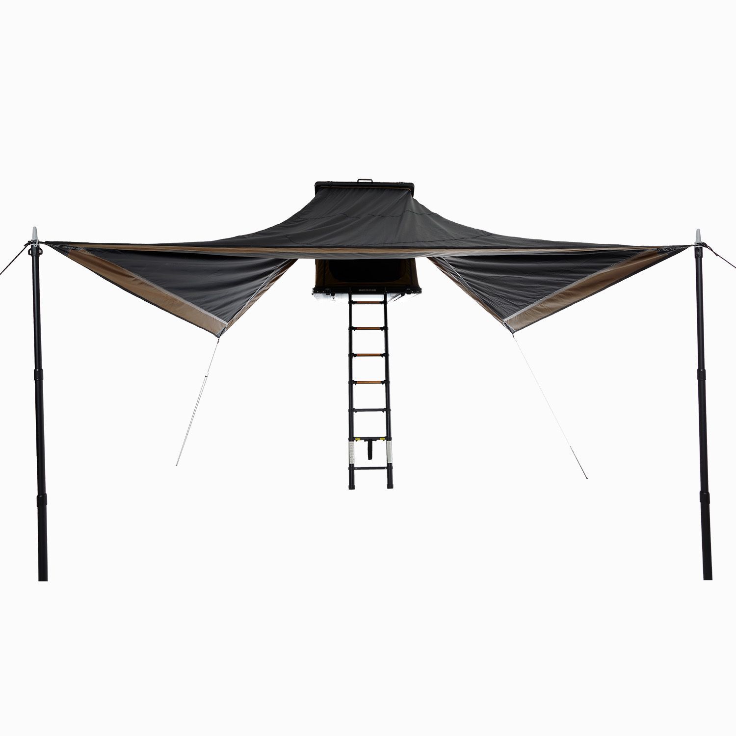Tarp CUMARU LIGHT Dorado10