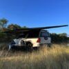 Toldo Eezi-Awn DragonFly 1801