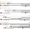 Ford Transit Connect Grill Kit (2023+)10